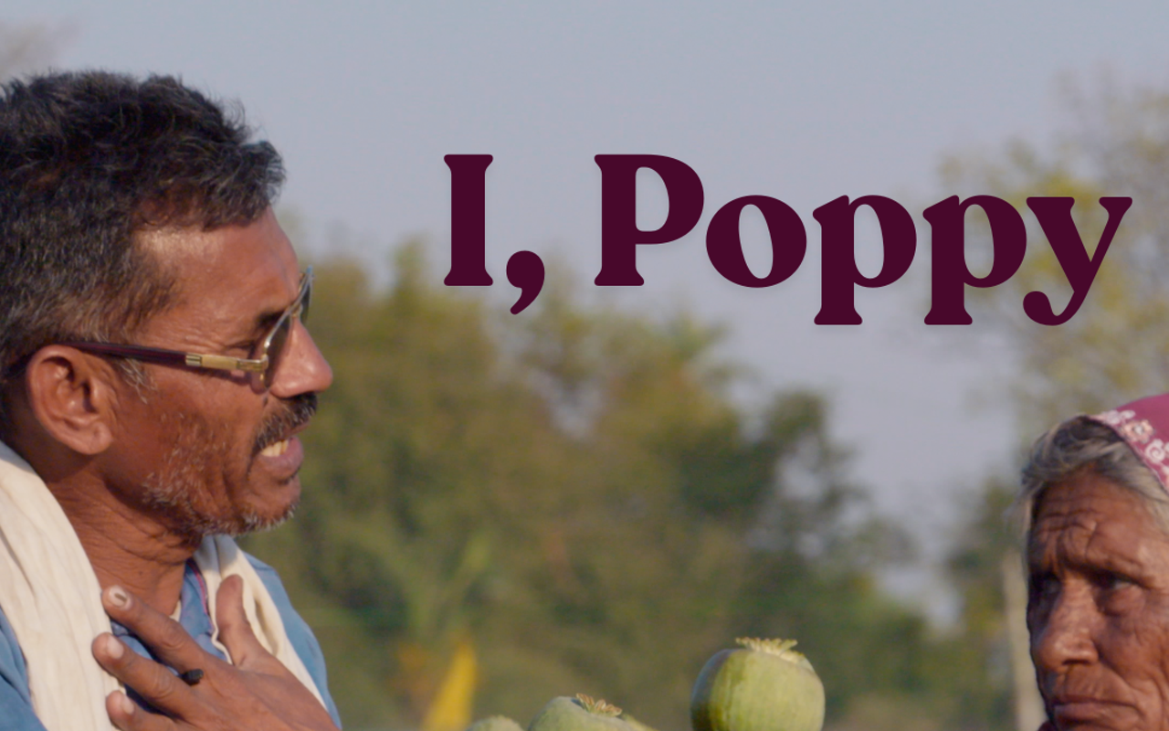 Image: I, Poppy film screening by Indie Meme