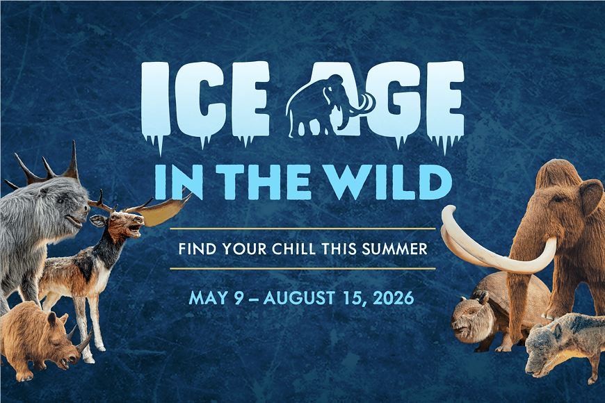 ice_age_in_the_wild-900x600.png