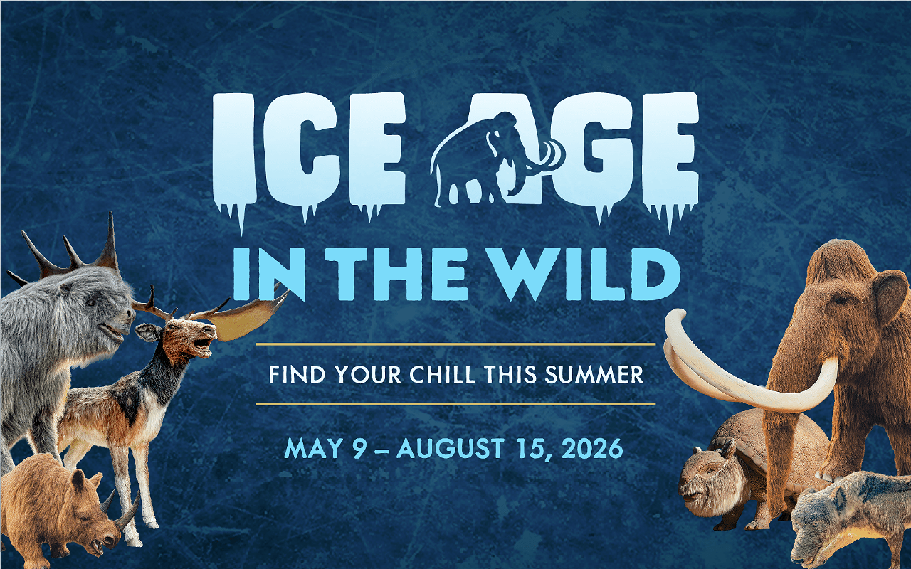 Image: Ice Age in the Wild