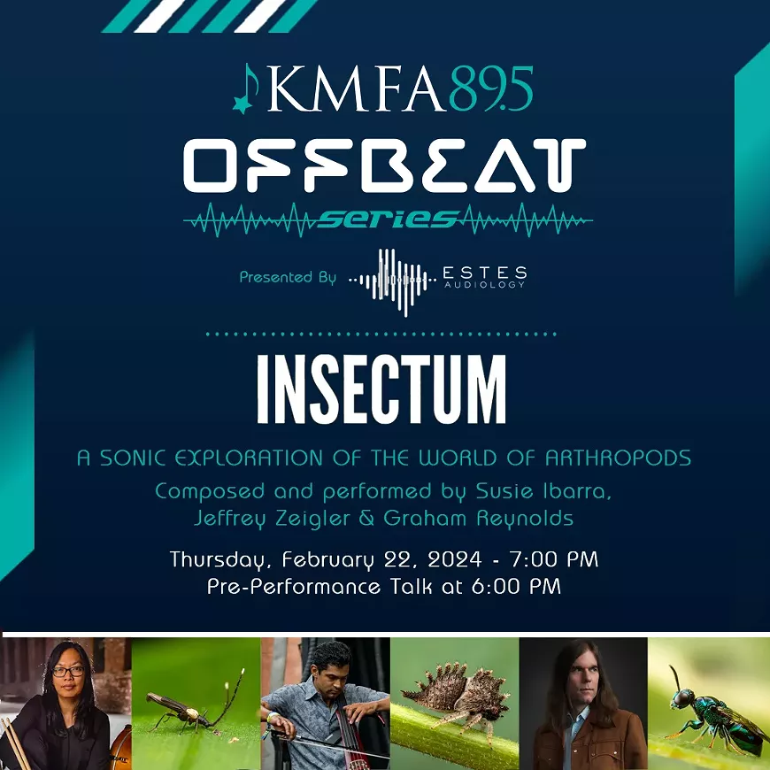 promo-photo-kmfa-offbeat-concert-insectum-2.webp