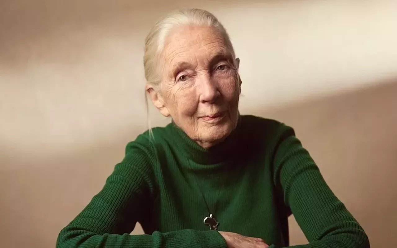 Image: Jane Goodall