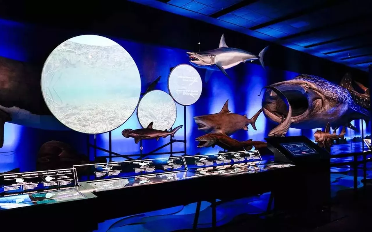 Image: Jaws: Third Thursdays