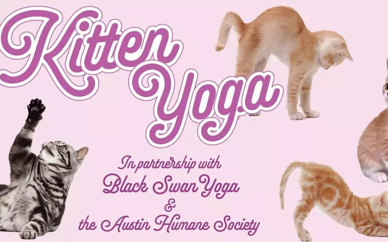 Image: Kitten Yoga