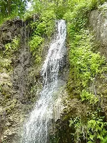 Image: Krause Springs