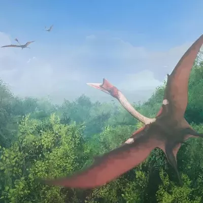 Image: Life Chronicles: Experience 3.5 Billion Years of Evolution in VR
