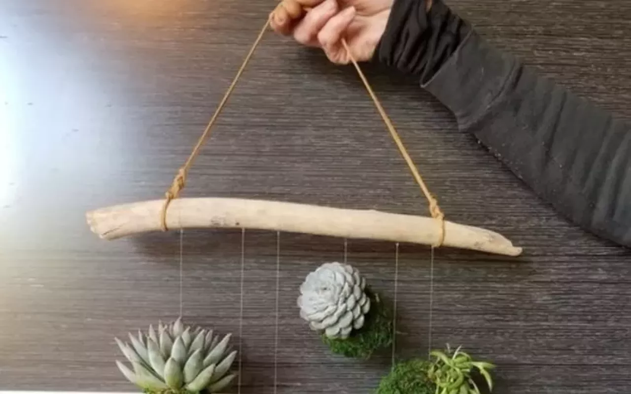 Image: Make a Kokedama Plant Mobile