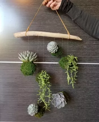 Image: Make a Kokedama Plant Mobile