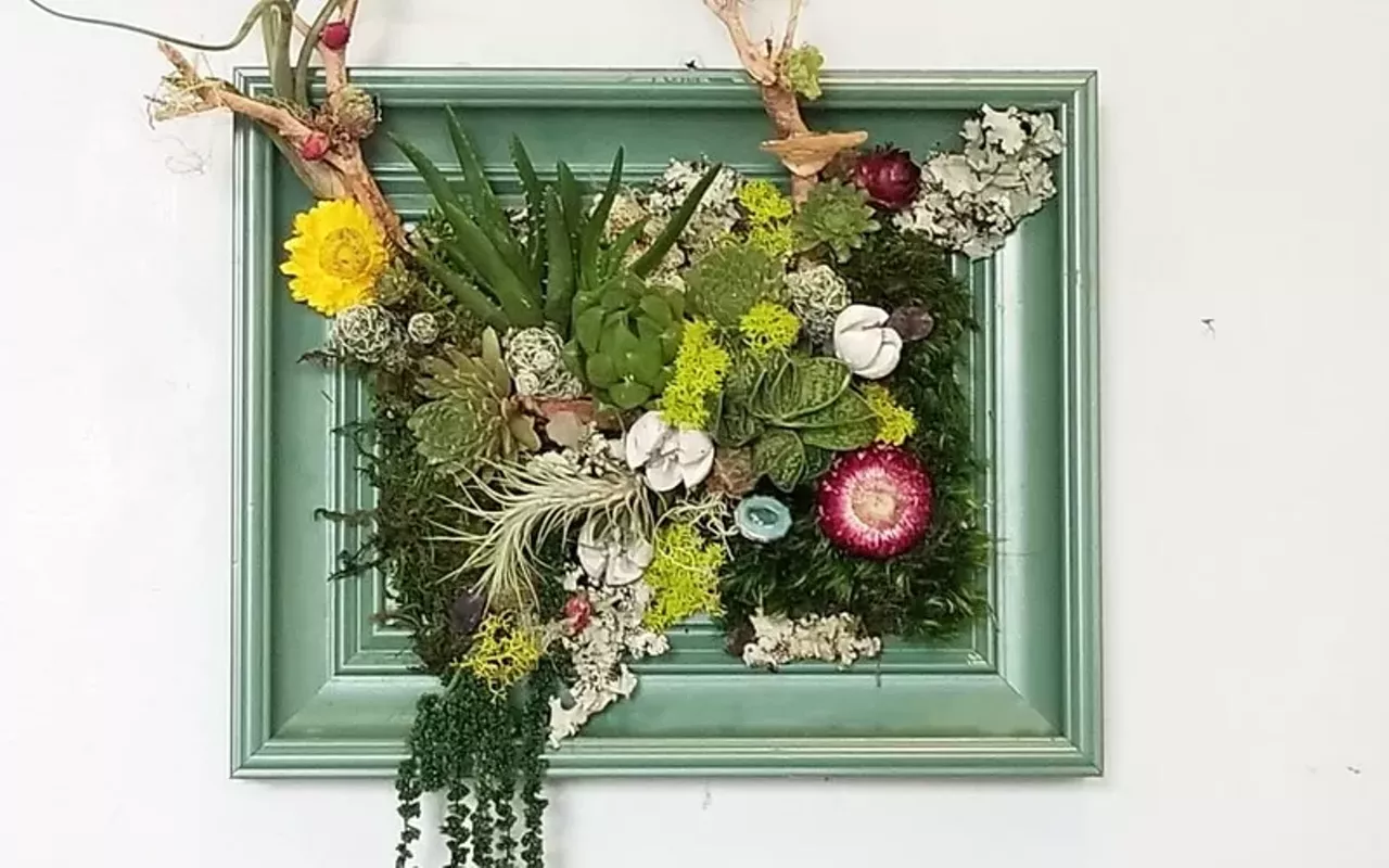 Image: Make a Mini Living Wall Class