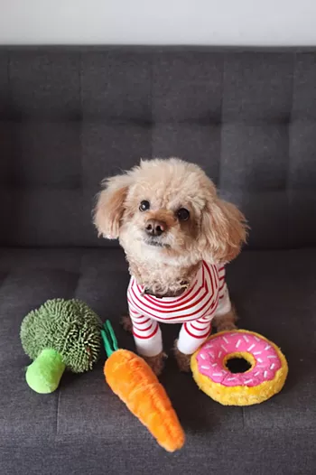 Image: Make Dog Toys With APA!