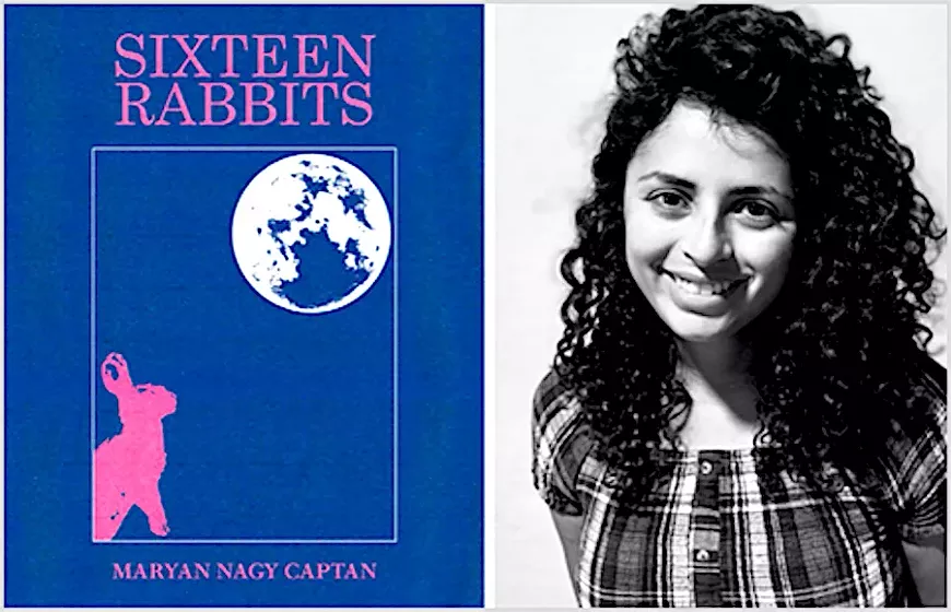 sixteen-rabbits.webp