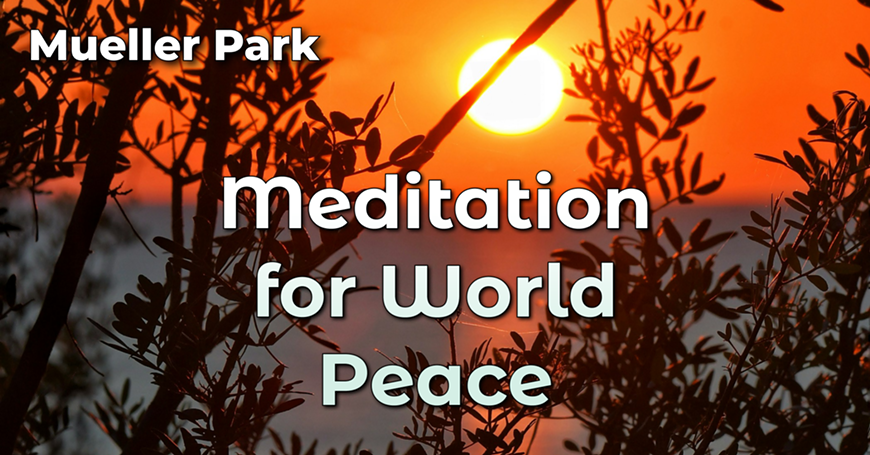 Meditation in the park