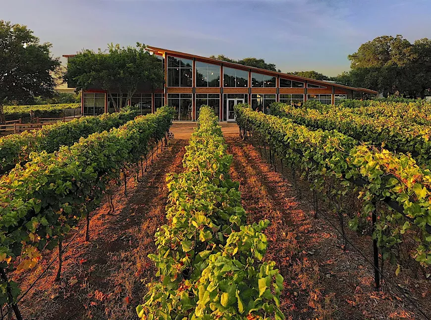 wcv_new_tasting_room_041_jpg_2500px_web.webp