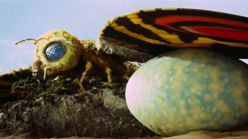 mothra_vs_godzilla_film_still.webp