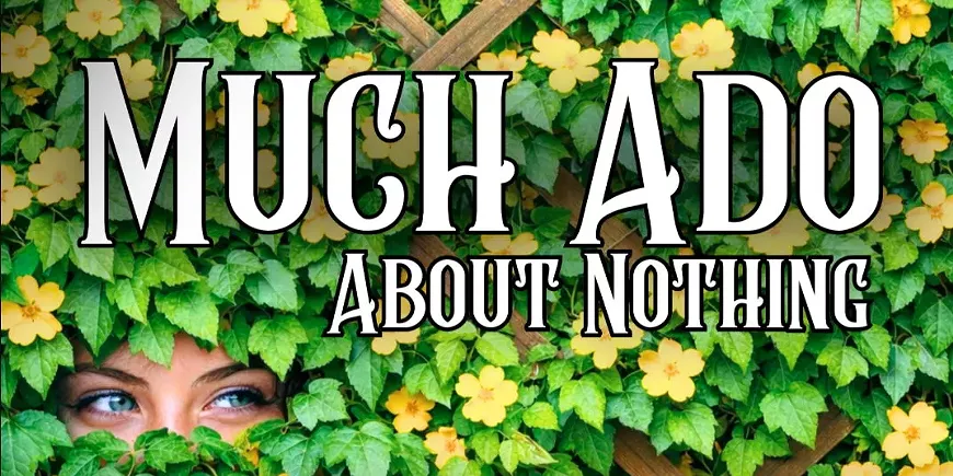 142367-much_ado_about_nothing.webp