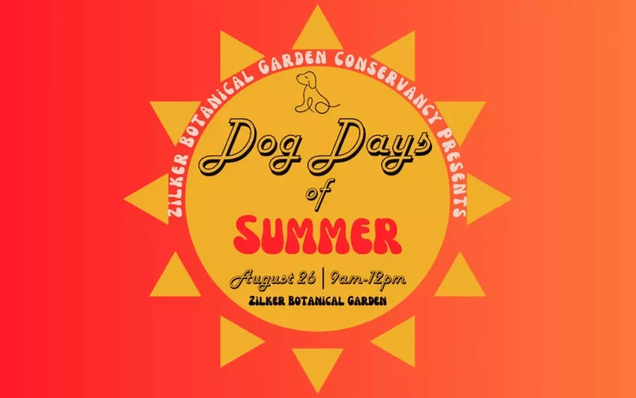 Image: National Dog Day: Dog Days of Summer