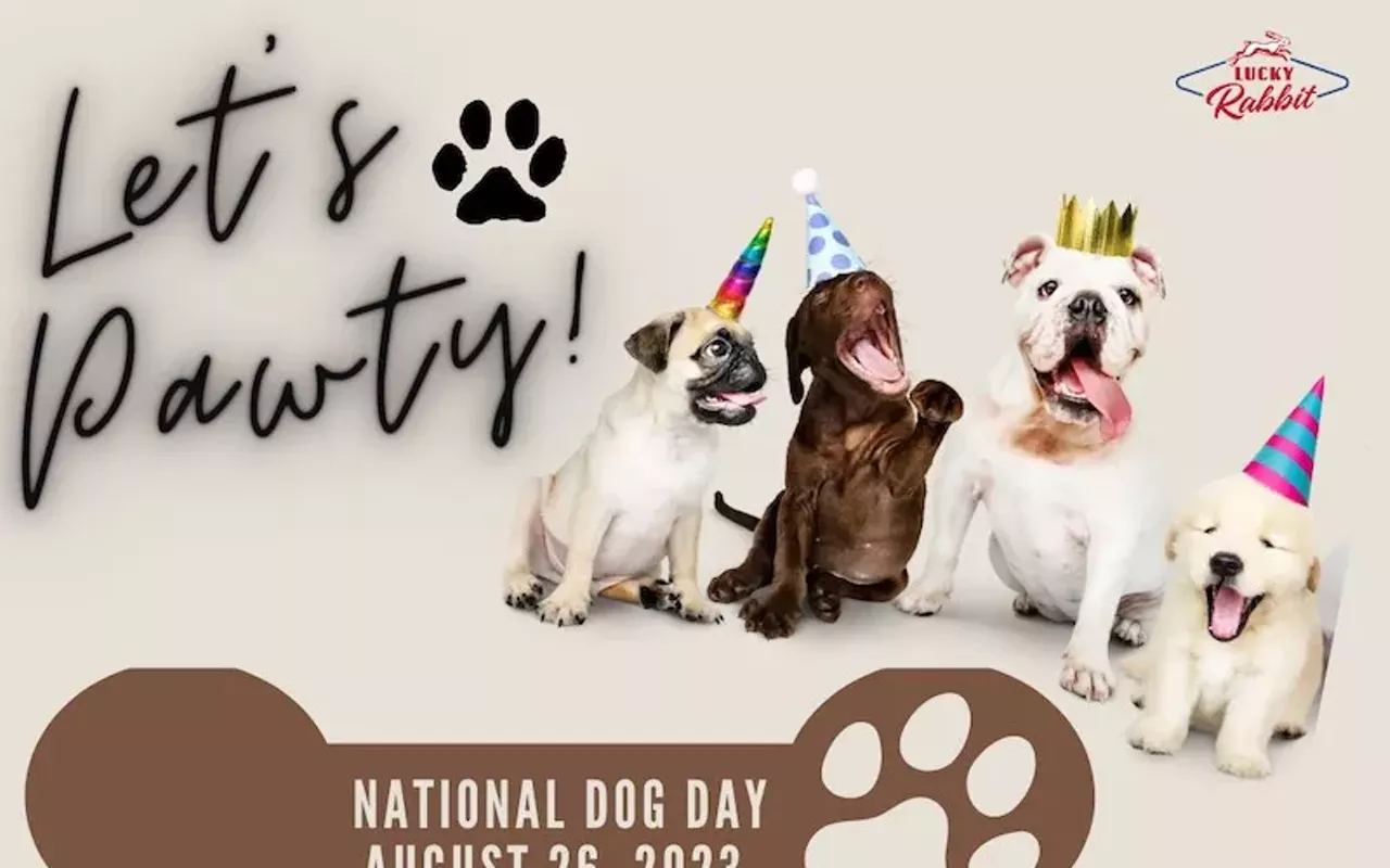 Image: National Dog Day: Dog Party at Lucky Rabbit
