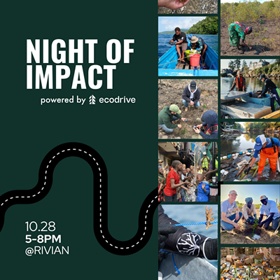 Image: Night of Impact