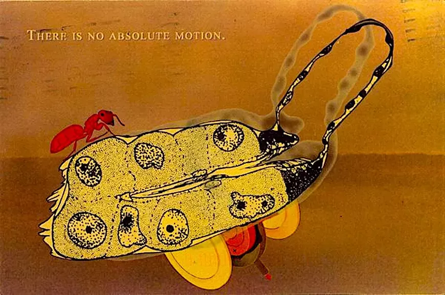 motion.webp