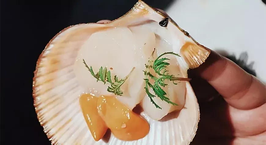 Oyster Omakase at Skipjack Oyster