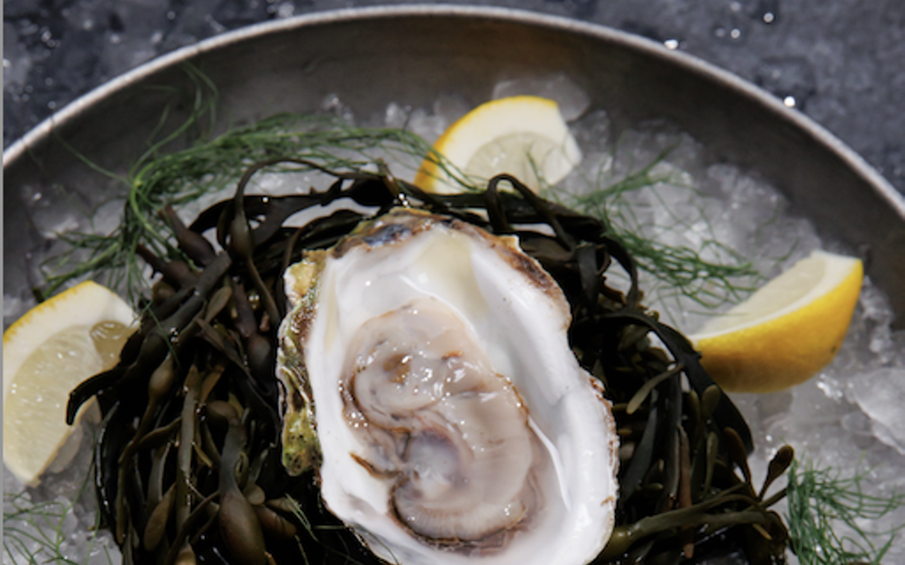 Image: Oyster Omakase at Skipjack Oyster