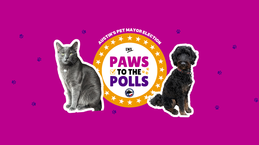 paws_general_banner_214937081.png