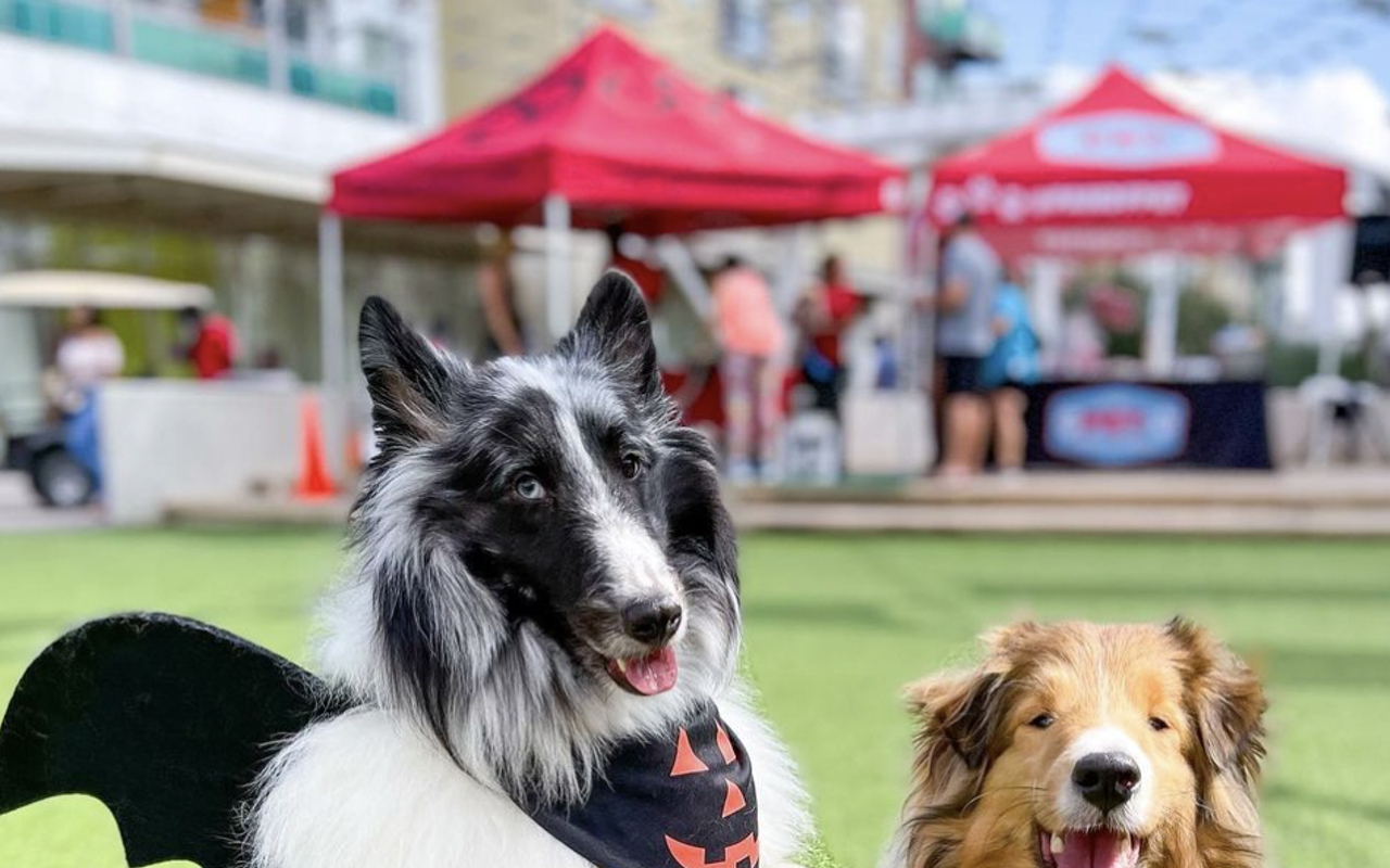 Image: Pet-tober Fest