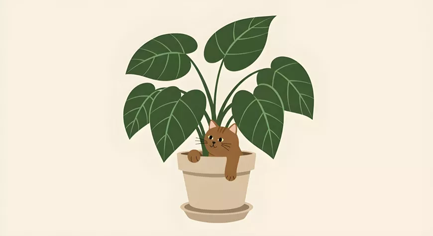 18._plantmania_art_by_karem_adem_via_unsplash.webp