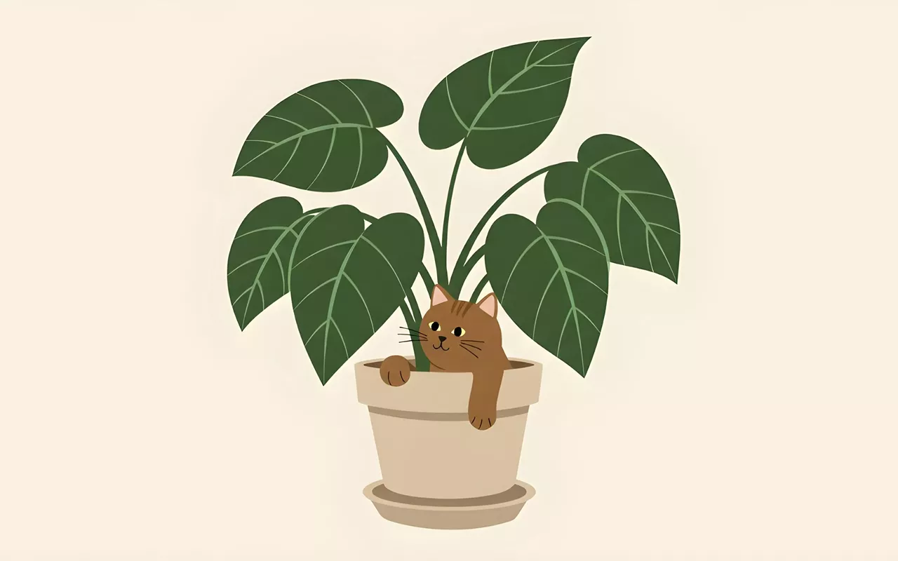 Image: Plantmania