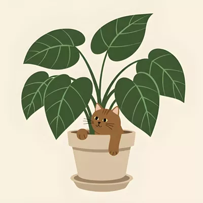 Image: Plantmania