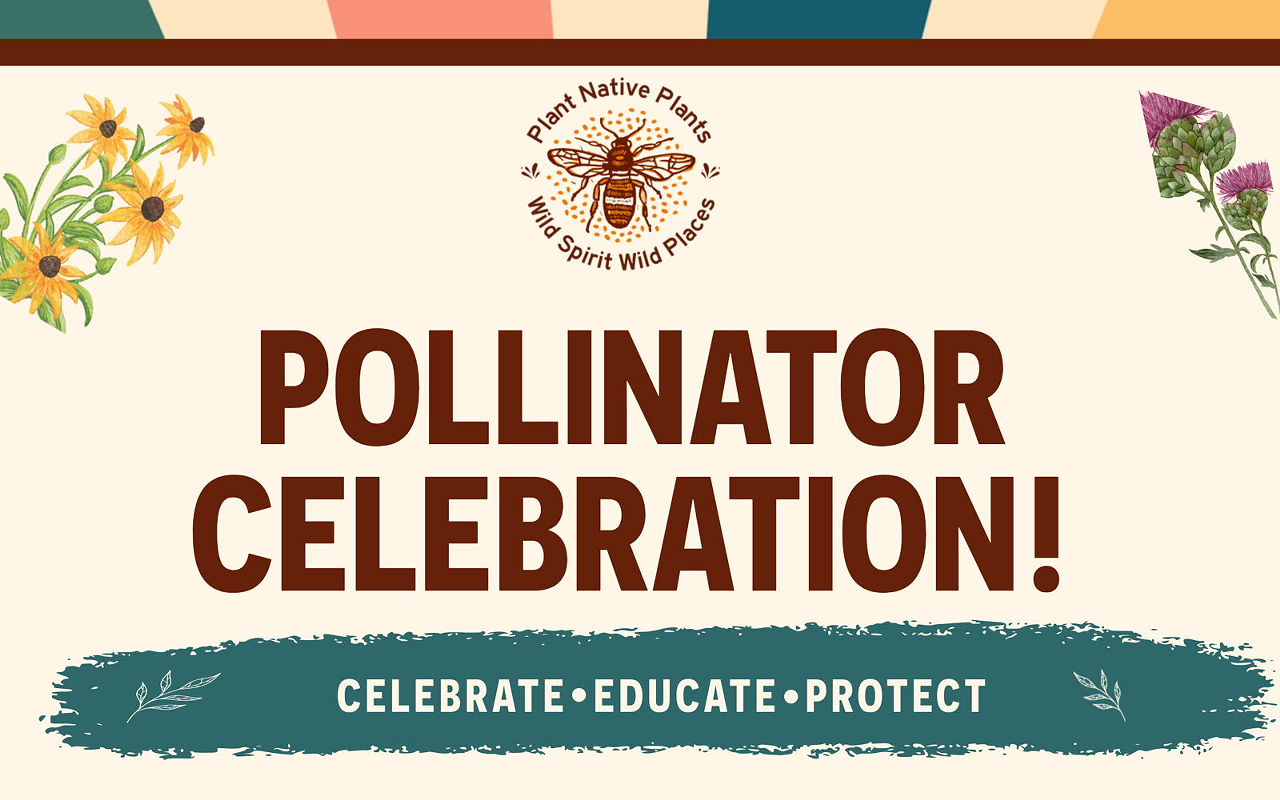 Image: Pollinator Celebration with Wild Spirit Wild Places at Vista Brewing
