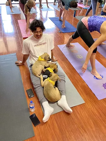 Image: Puppy Yoga Benefiting Jane's Fund of Williamson County Regional Animal Shelter