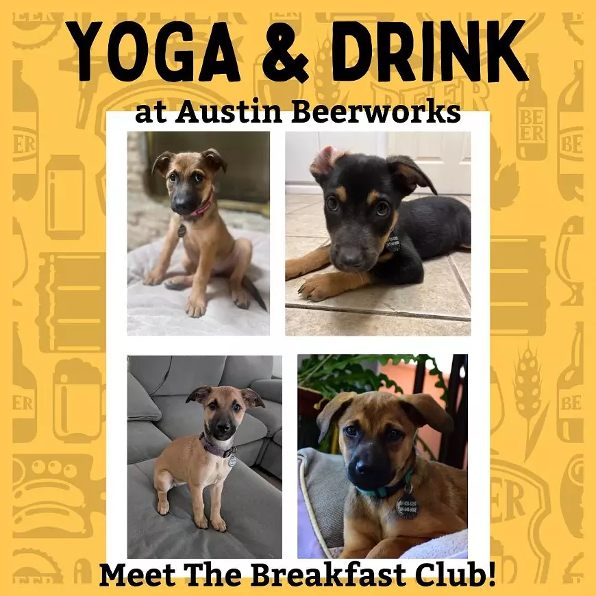 puppyyogaposter.jpg