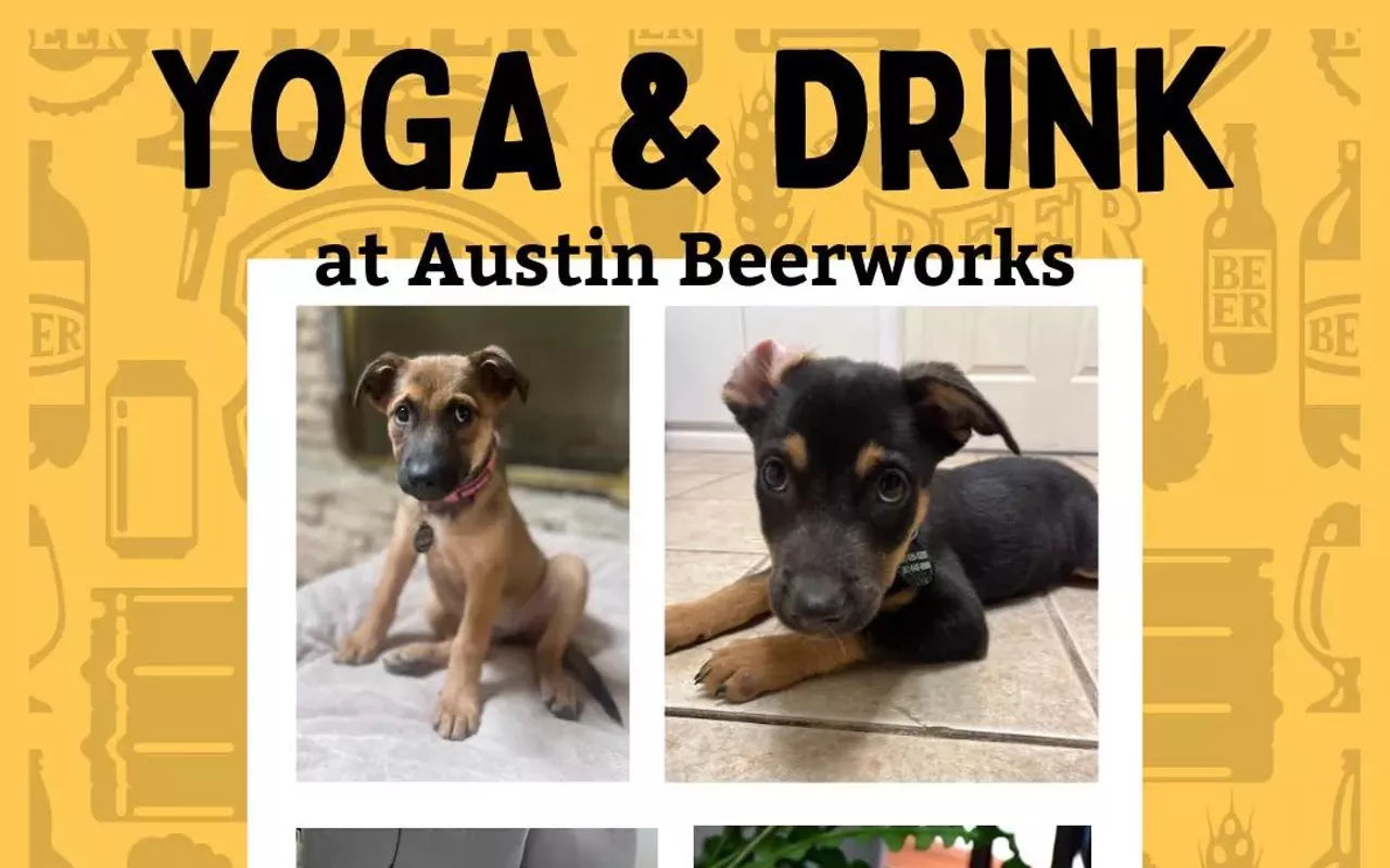 Image: Puppy Yoga