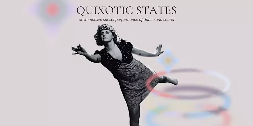 10._Quixotic_States_poster.jpeg