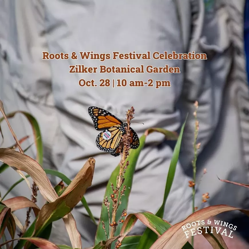 promo-photo-roots--wings-festival-celebration-at-zilker-bota.webp