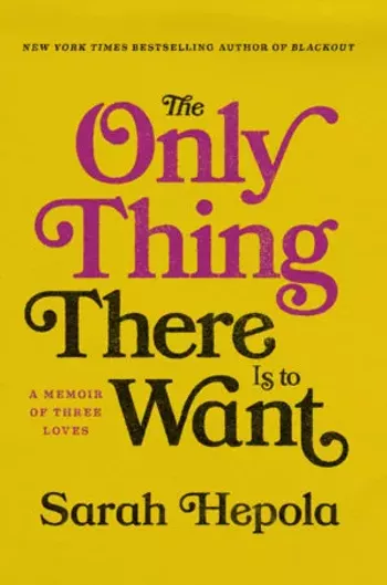 Image: Sarah Hepola: The Only Thing There Is To Want