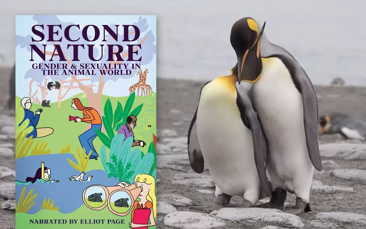 Image: Second Nature