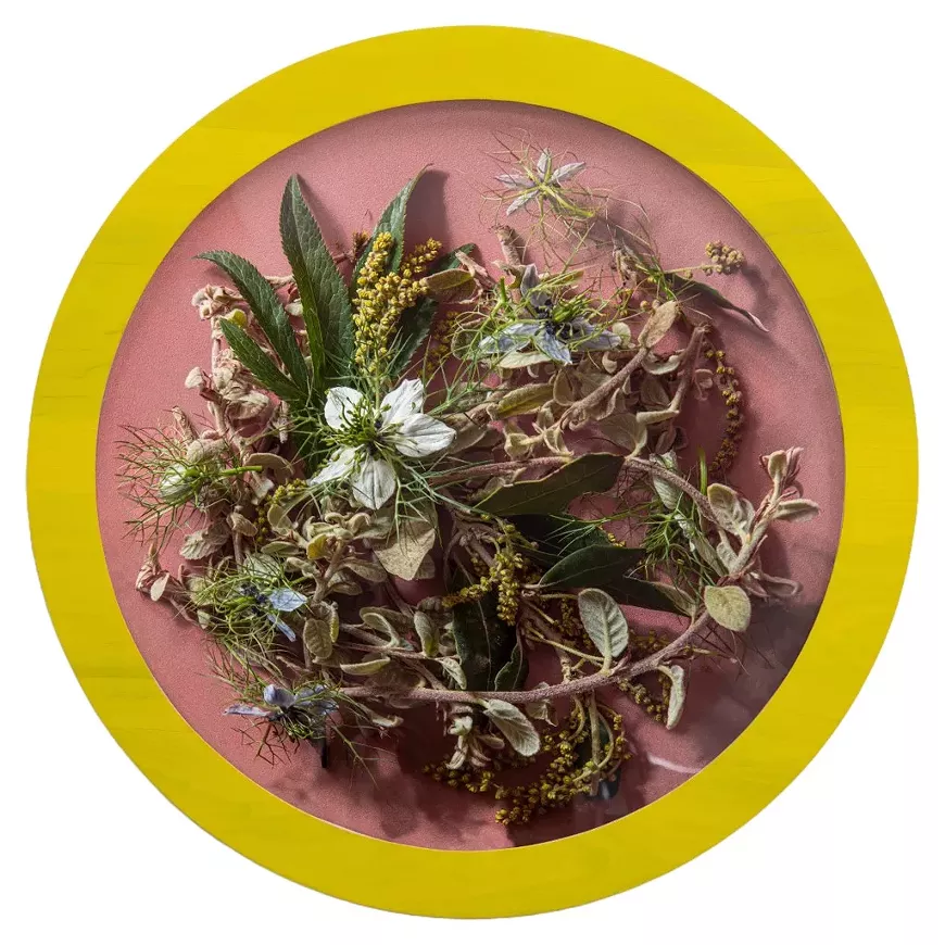 A Study of the Roman Coriander by Kalee Appleton