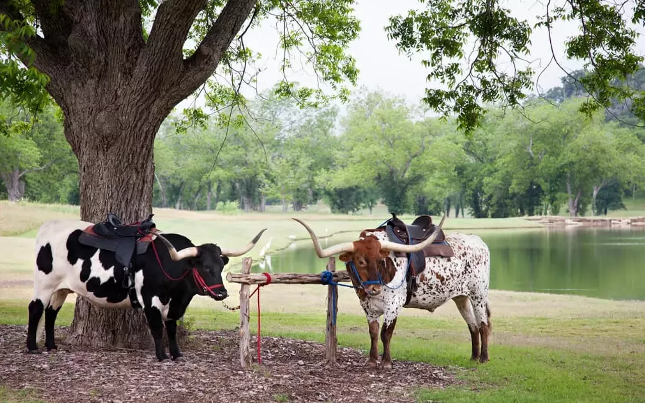 Image: Texas Independence Day at the Driskill