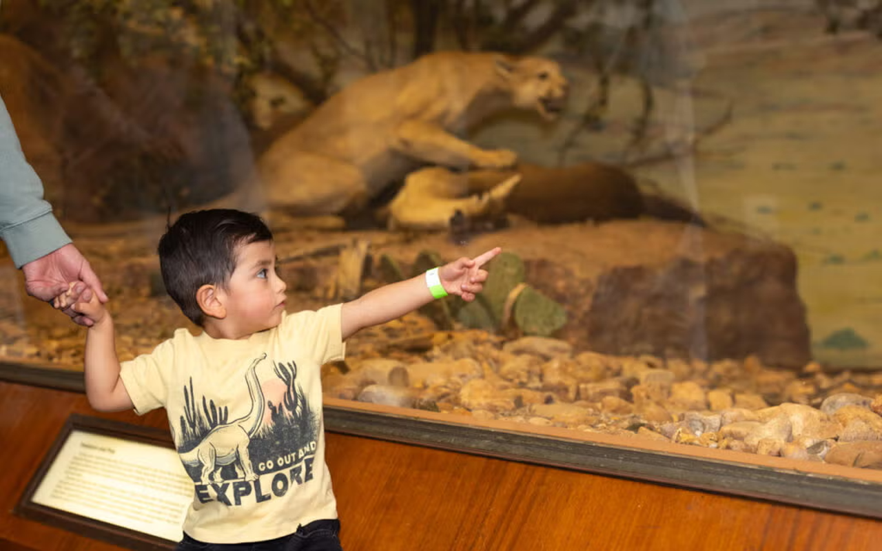 Image: Texas Wildlife Day 2026