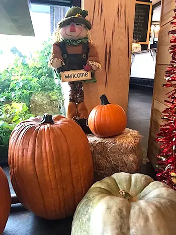 Image: TGIVING: Sala & Betty