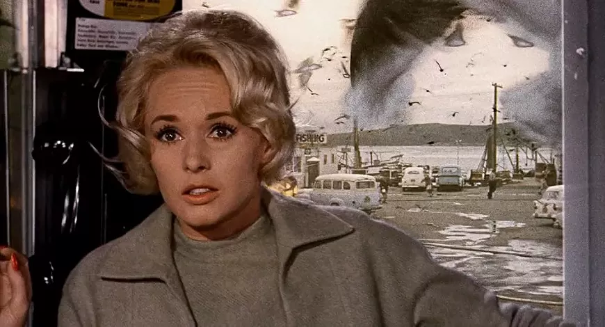 46._the_birds_film_still.webp