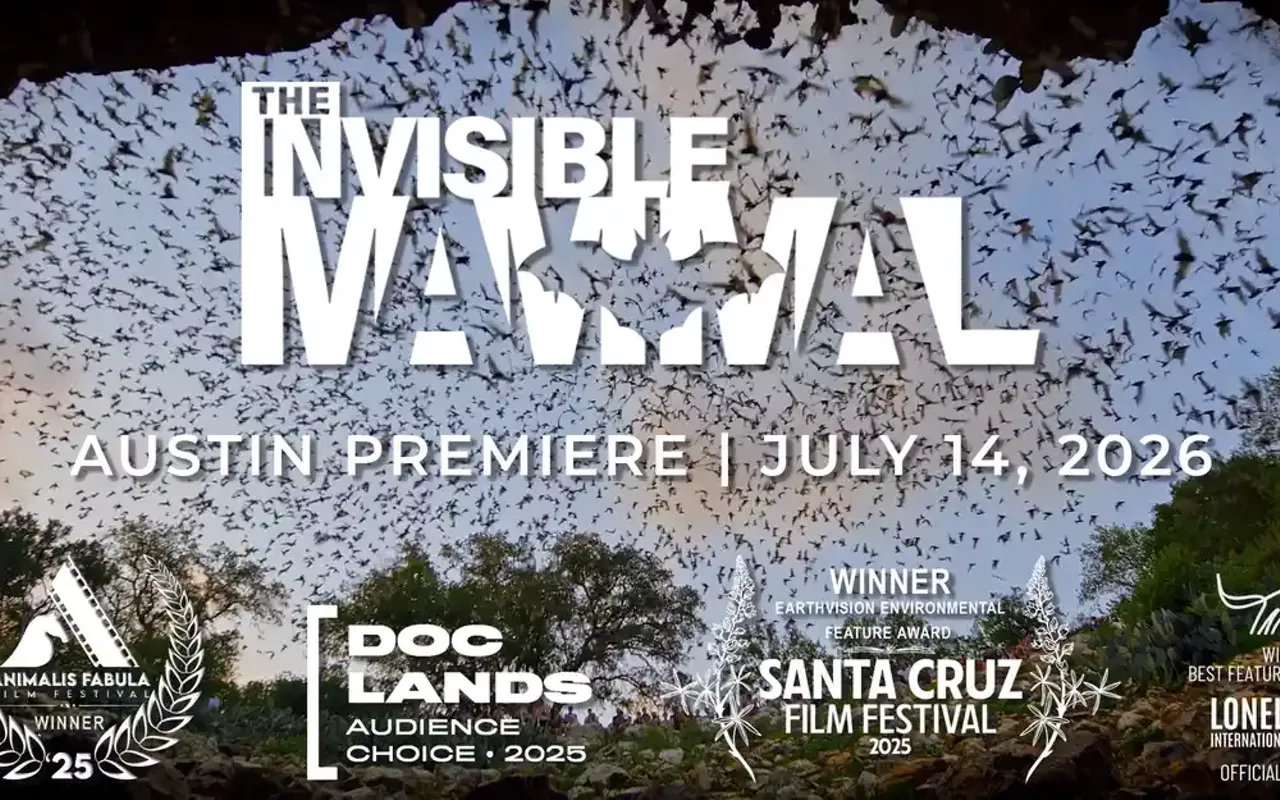 Image: The Invisible Mammal