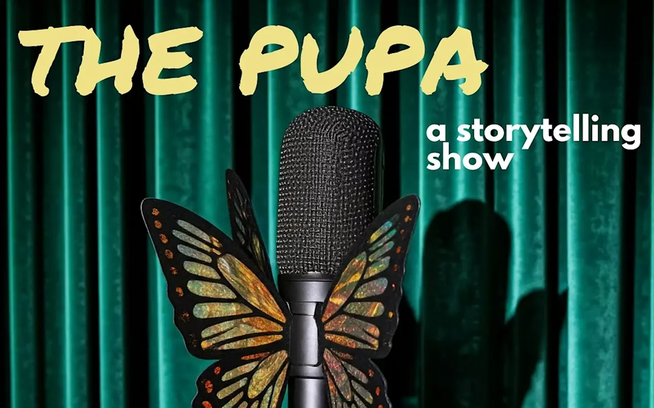 Image: The Pupa: First Impression