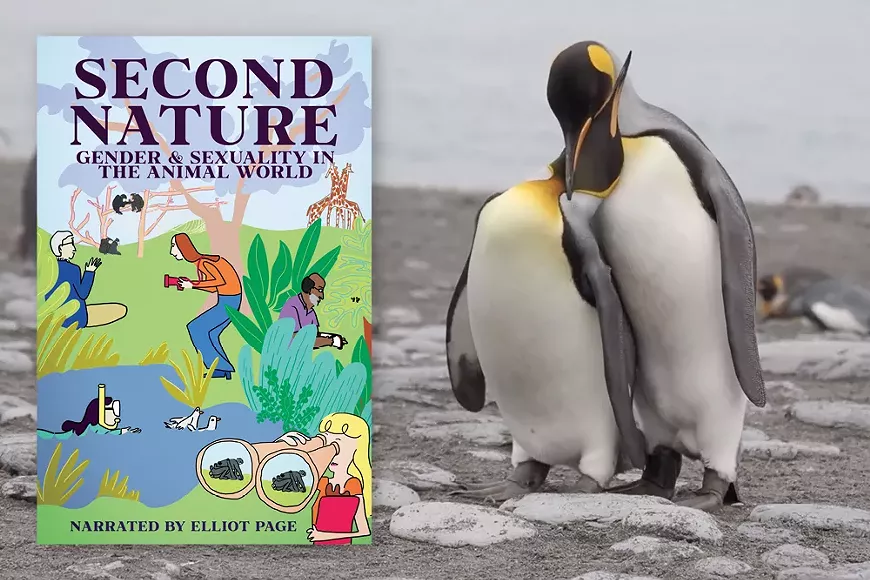 secondnature_1000-x-667.webp