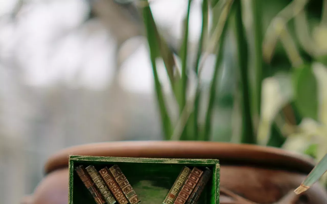 Image: Tiny Library