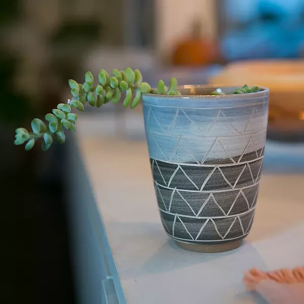 Best Vessel for Your Succulent