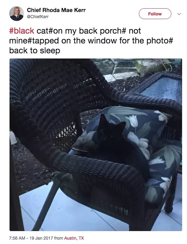 Best Twitter Account Run by a Public Official