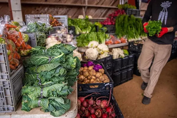 Farmers' Market/Farmstand