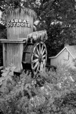 Best Plant Nursery
